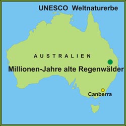 Gondwana-Regenwälder