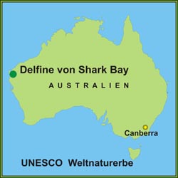Shark-Bay